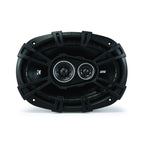 https://cdn.shopify.com/s/files/1/1916/9787/products/43DSC6930_2.jpg?v=1741614403