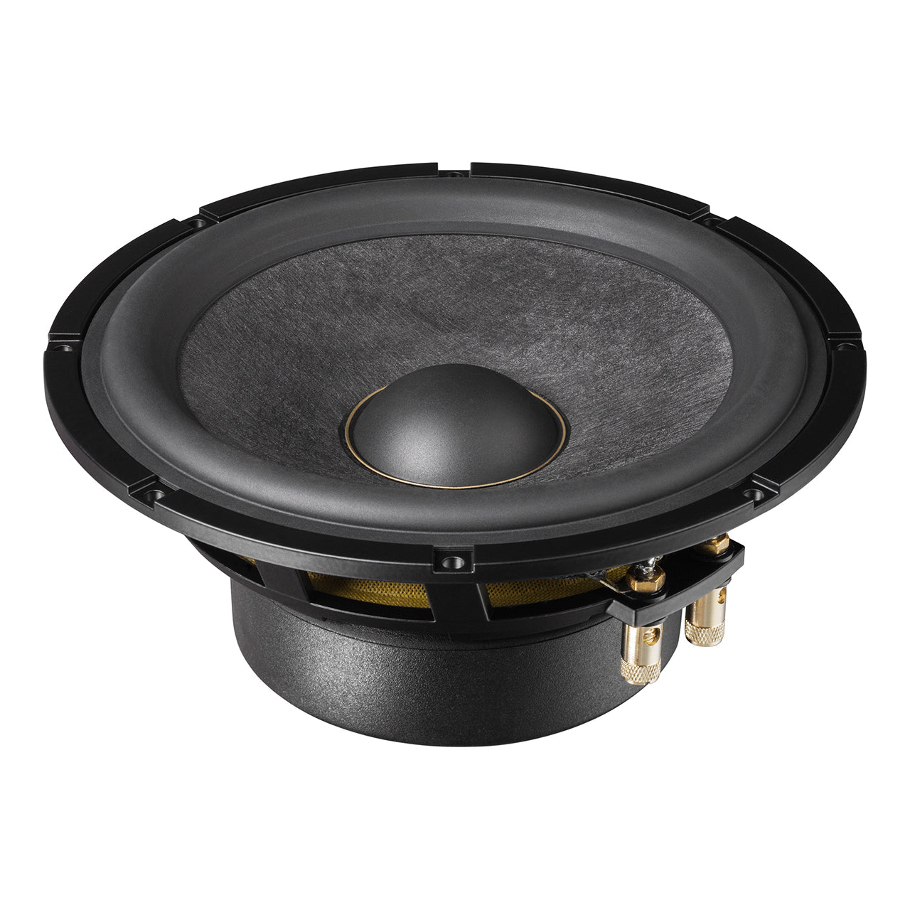 https://www.audiotec-fischer.de/media/image/40/eb/f5/BRAX-MATRIX-ML165-PRO-Pers.jpg