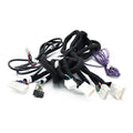 Audison CN TSL 3YB 01 T-Harness Built-in Extension Tesla Model 3/Y Ryzen