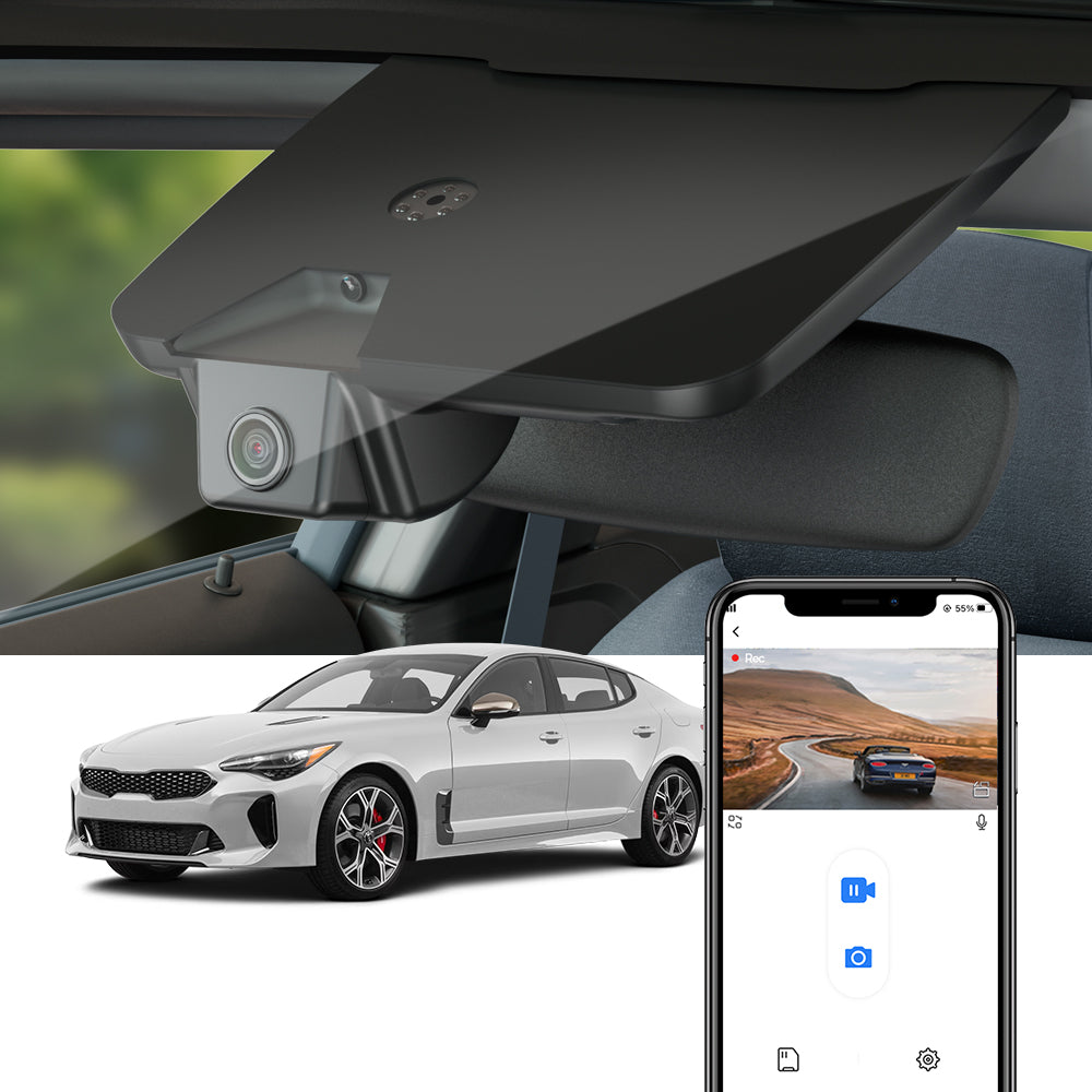 https://cdn.shopify.com/s/files/1/0552/4183/4668/files/Stinger.jpg?v=1704705591