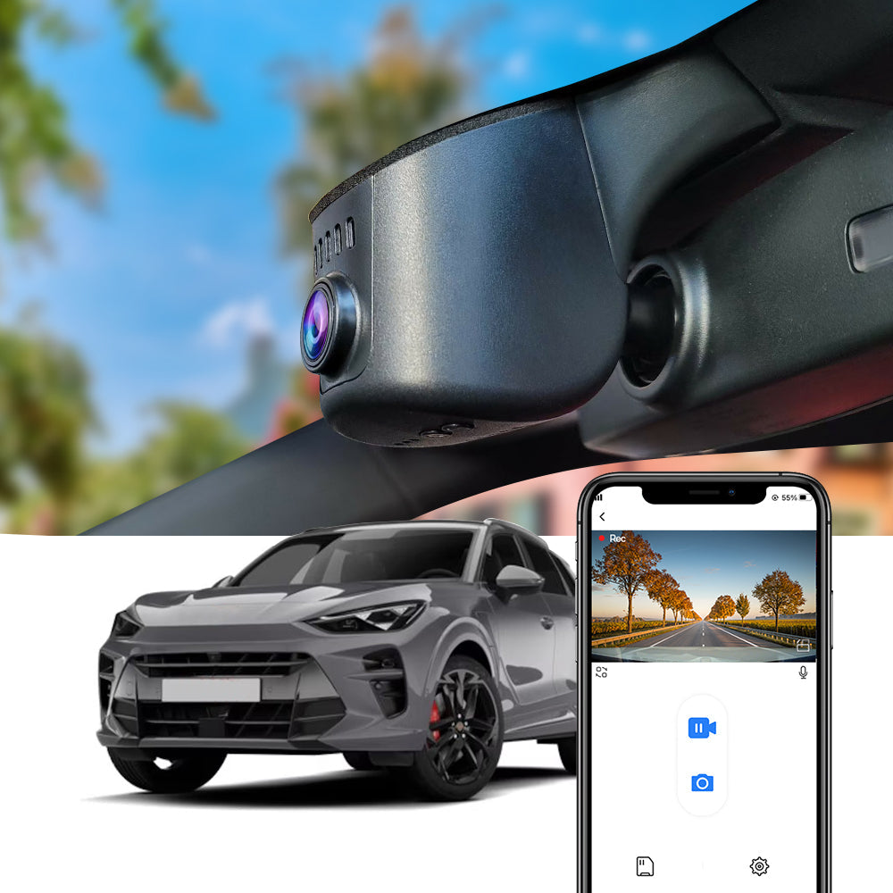 https://cdn.shopify.com/s/files/1/0552/4183/4668/files/Terramar.jpg?v=1746002430