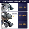 https://cdn.shopify.com/s/files/1/0552/4183/4668/files/X3_3c0044d9-6d36-4048-8439-92cbb2cae160.jpg?v=1694507297