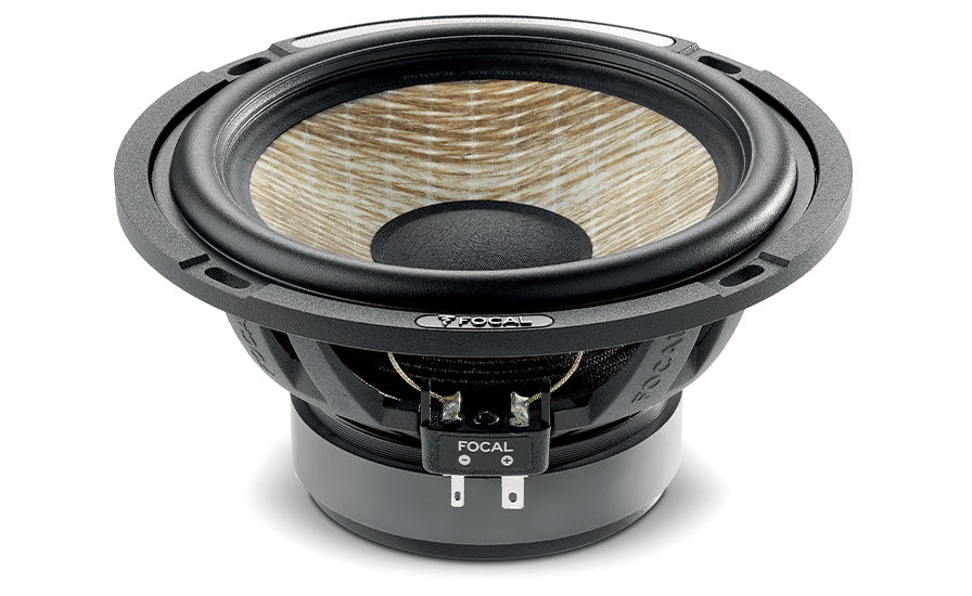 https://media.focal-naim.com/focal/file_manager_files/car/flax-evo/ps-165-f3e/ps-165-f3e-profil.jpg