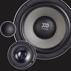 https://cdn.shopify.com/s/files/1/0919/1479/7395/files/virtus_63_2.webp?v=1742484047